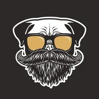 Barberdog сеть груминг салонов icon