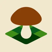 Mushroom Spot - map & sharing icon