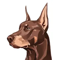 BYRDOG icon