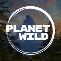 Planet Wild icon