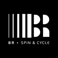 BR Spin & Cycle icon