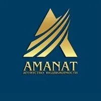 Amanat invest icon