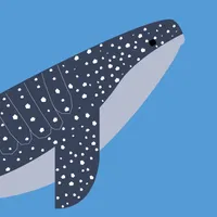 Find the Whales: Español icon