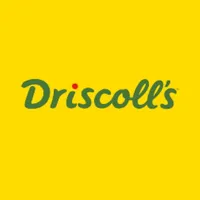 One Driscoll's icon