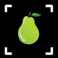 Fruit Identifier: Fruit ID icon