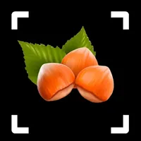 Nut Identifier: Nut ID icon