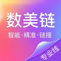 数美链专业线版 icon