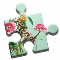 Vases & Flowers Puzzle icon