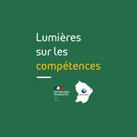 Lumières sur les compétences icon