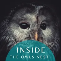 Inside the Owls Nest icon