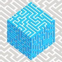 3D Block Maze icon