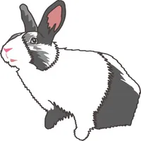 Habit Rabbit icon