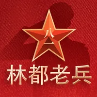 林都老兵 icon