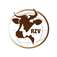 RZV mobil icon