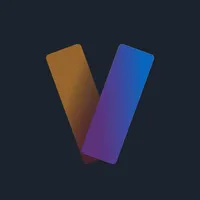Vizify icon