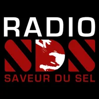 Radio Saveur du Sel icon