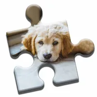 Golden Retriever Puzzle icon