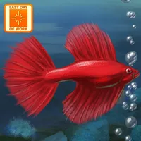 Fish Tycoon icon