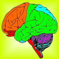 Brain & Nerves: The Human Nervous System Anatomy icon