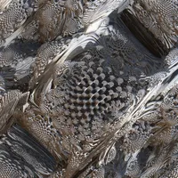 Mandelbulb Raytracer icon