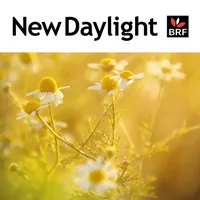 New Daylight icon