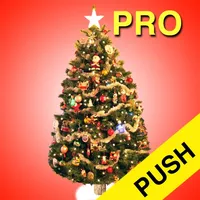 Christmas Countdown Pro Push icon