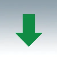 Emerald Timestamp icon