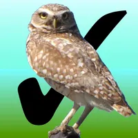 Birdwatcher's Diary icon