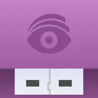 USB Disk icon