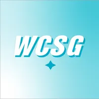 91.3 WCSG icon