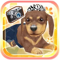 My Dog My Room icon