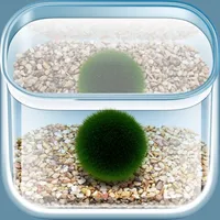 The Marimo icon