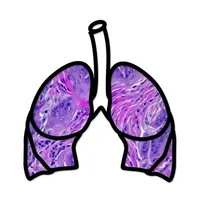 Lung Cancer Stage icon