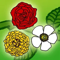 Rose Puzzle icon