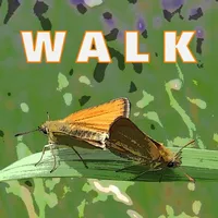 Walk Wild-Essex icon