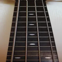 Bass Fretboard Addict Lite icon