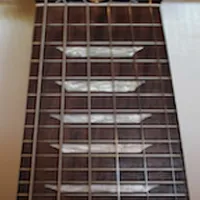 Electric Guitar Fretboard Lite icon