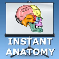 Anatomy Lectures Head and Neck icon