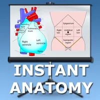 Anatomy Thorax and Abdomen icon