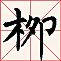 i临帖之柳体楷书 icon