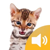 Animal Sounds - Fun Toddler Game icon