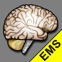 MEND EMS icon