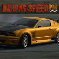 Driving Speed Pro icon