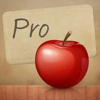 FlipCards Pro icon