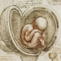 Leonardo da Vinci: Anatomy icon