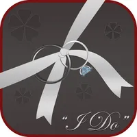 Wedding Planner Professional icon