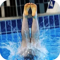 DiveChamp icon