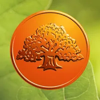 Savings Bank private icon