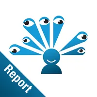 Mobile Report - PDF Report icon