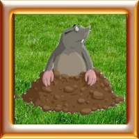 Whack A Mole - Smack Hamster icon